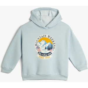 Kapşonlu Sweatshirt Baskı Detaylı Uzun Kollu Şardonlu