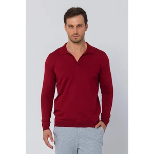 Erkek Regular Fit Düz Renk Polo Yaka Uzun Kollu Triko Kazak