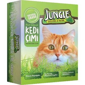 Kedi Çimi Kutulu (Fileli) 6'Lı