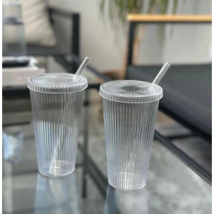 Check And Ship Mika Kapaklı Pipetli Origami Stil Mika Bardak 2 Adet 600 ml