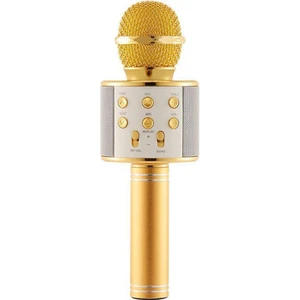 WS-858 Karaoke Mikrofon Gold