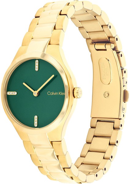 CK25200333 Kadın Kol Saati fiyatları