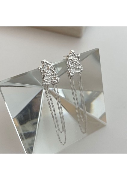 S925 Gümüş Püskül Küpe, Uzun Moda Küpeler (Yurt Dışından)