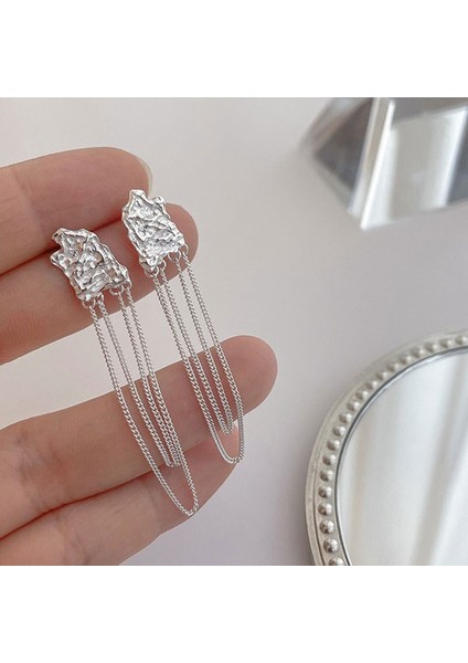 S925 Gümüş Püskül Küpe, Uzun Moda Küpeler (Yurt Dışından)