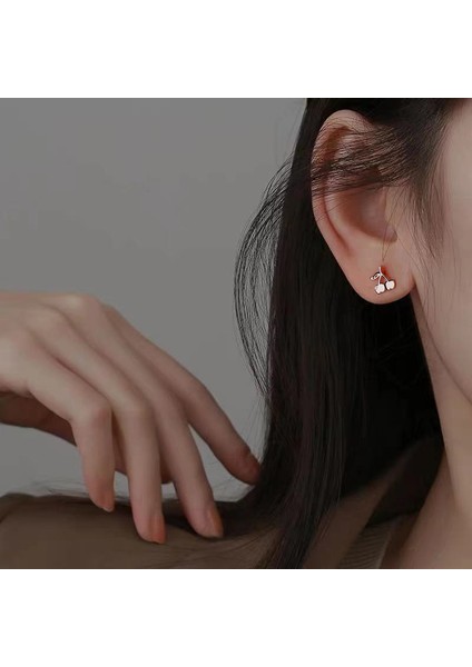 Gümüş Fransız Kiraz Saplama Küpe, Premium Duygu Temperament Küpe (Yurt Dışından) modelleri