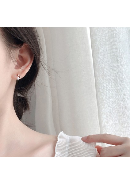 Gümüş Denizyıldızı Kabuğu Küpeler, Sade Set Zirkon Küpeler, Moda Küpeler (Yurt Dışından) modelleri