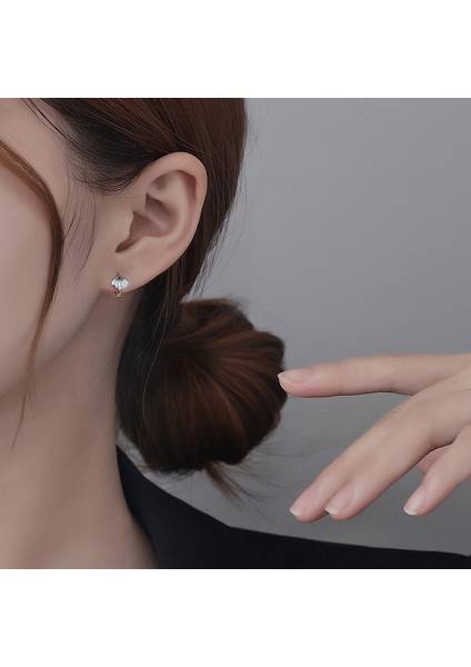 Kabuk Küpeler, Gümüş Basit Set Zirkonya Taraklı Kulak Klipsleri (Yurt Dışından) modelleri