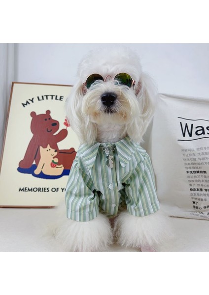 Evcil Hayvan Kıyafeti - Yeşil (Yurt Dışından) fiyatları