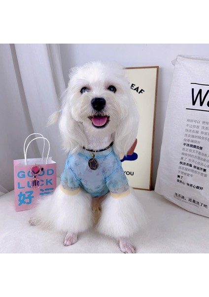 Evcil Hayvan Kıyafeti - Mavi (Yurt Dışından) fiyatları