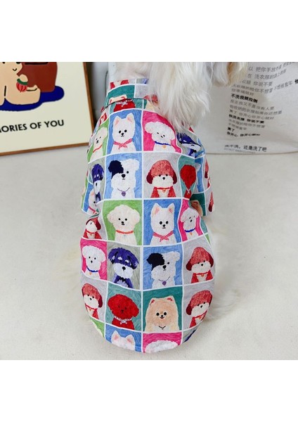 Evcil Hayvan Kıyafeti - Renkli (Yurt Dışından) fiyatları