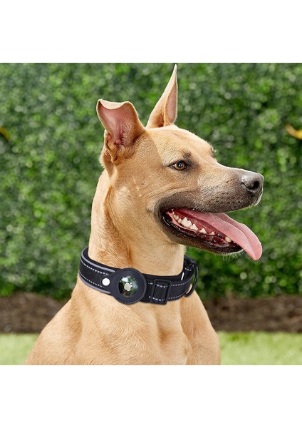 Airtag Uyumlu Evcil Hayvan Tasması - Siyah (Yurt Dışından) fiyatları