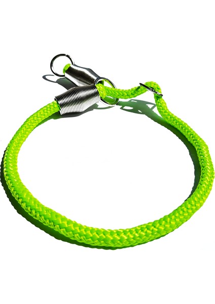 Ayarlanabilir Boğma Köpek Eğitim Antreman Itaat Boyun Tasması