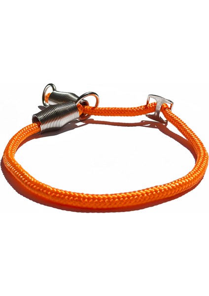 Ayarlanabilir Boğma Köpek Eğitim Antreman Itaat Boyun Tasması