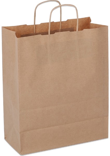 Kraft Kahverengi Burgu Saplı ÇANTA18*24*9 25 Adet fiyatları