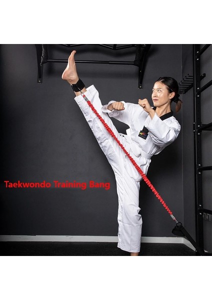 Whiteface Taekwondo Tek Bacak Kuvvet Direnç Çalışma Lastiği 120CM (Kırmızı)