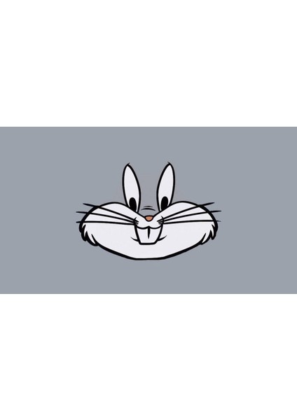 Kişiye Özel 130 Adet Bugs Bunny Okul Etiketi fiyatları