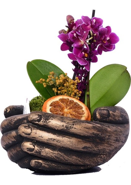 Avuç Içi Şeklinde Saksı (Siyah) 24X20X12 cm