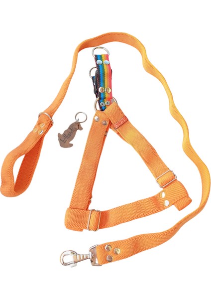 Köpek göğüs tasması kayışlı set turuncu kolon genişlik:3cm göğüs ölçüsü:40-75cm ayarlamalı gezdirme kayışı:120cm dog harness TB3-10