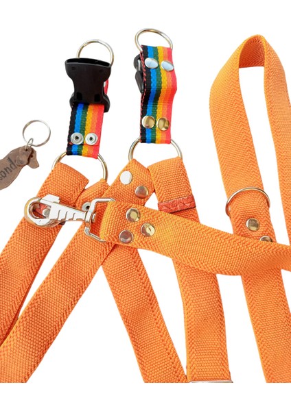 Köpek göğüs tasması kayışlı set turuncu kolon genişlik:3cm göğüs ölçüsü:40-75cm ayarlamalı gezdirme kayışı:120cm dog harness TB3-10