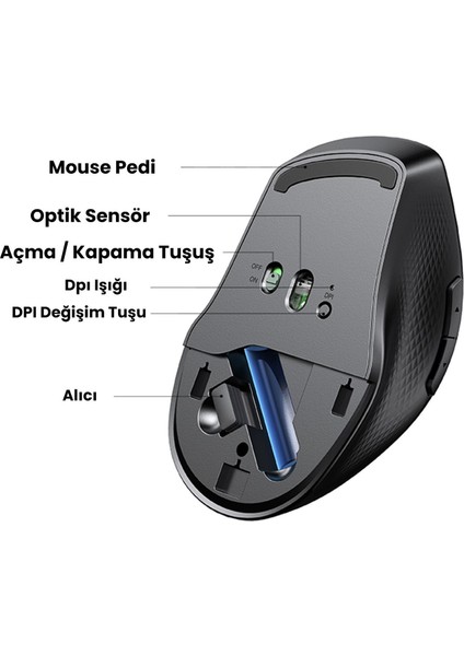Ergonomik Sessiz Çift Modlu Bluetooth ve Wireless Kablosuz Mouse fırsatları