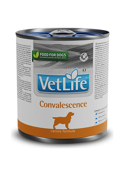 Vetlife Convalescence Dog Hasta Köpek Maması 300GR