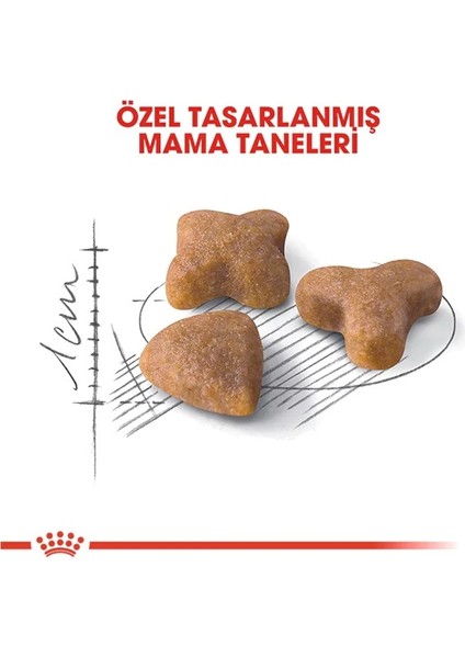 Sensible Yetişkin Kedi Maması 2kg Hassas Adult Cat Food
