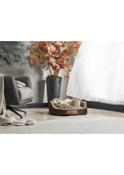 Elegance Yuvarlak Minderli Evcil Hayvan Kedi Köpek Yatağı