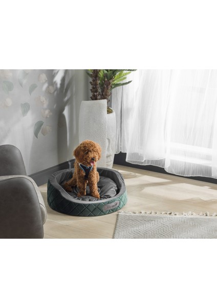 Elegance Yuvarlak Minderli Evcil Hayvan Kedi Köpek Yatağı