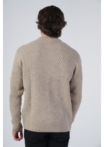 Erkek Yürütme Saç Örgülü Bisiklet Yaka Triko Yün Kazak TRIST-5312