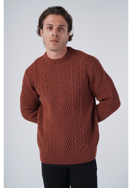 Erkek Yürütme Saç Örgülü Bisiklet Yaka Triko Yün Kazak TRIST-5312