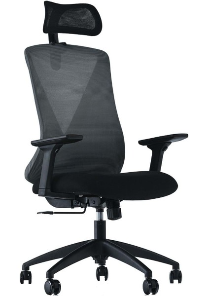 Ferra Fileli Müdür Koltuğu