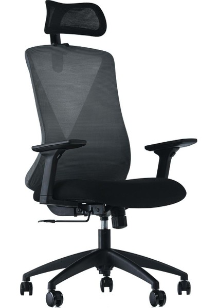 Ferra Fileli Müdür Koltuğu modelleri