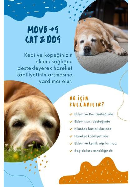 Kedi ve Köpeklerde Hareket Sağlığı Destekleyici Glukozamin Tablet Glukozamin Msm Chondroitin Move G