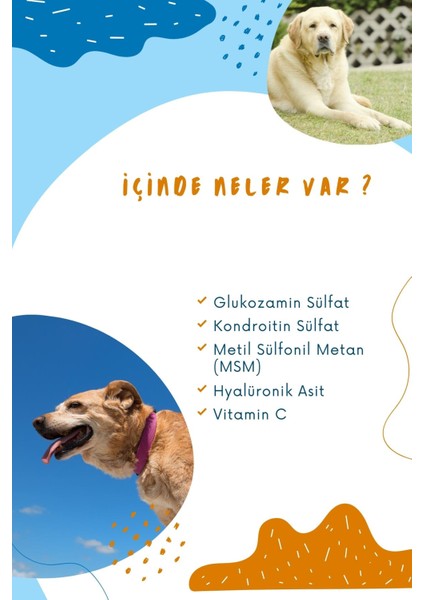 Kedi ve Köpeklerde Hareket Sağlığı Destekleyici Glukozamin Tablet Glukozamin Msm Chondroitin Move G