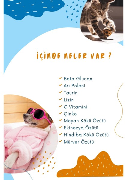 Kedi ve Köpeklerin Sağlık Sistemini Güçlendiren Destekleyen Tablet Immune C