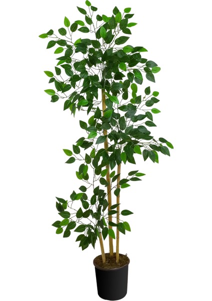 Yapay Benjamin Ağacı, 3 Gövde, 504 Yaprak, 120CM, Sakıslı