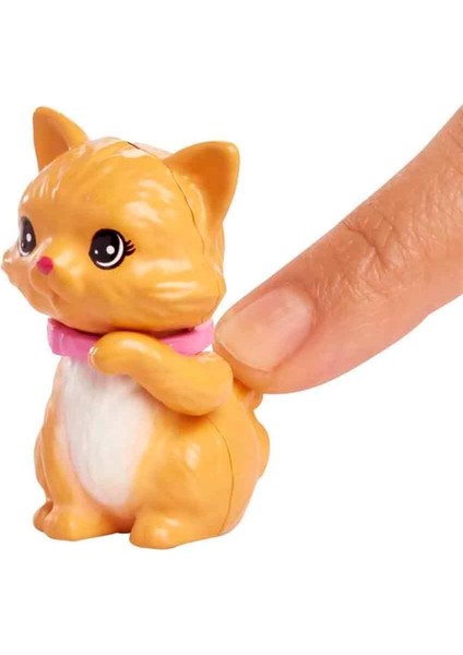 Sevimli Hayvanlar ve Aksesuarları HKD81 HKD83 Kedi modelleri