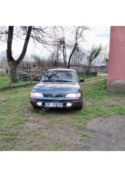 Toyota Rainbow Colormatik Camlı Sis Lambası