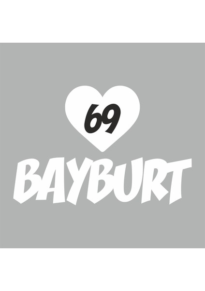 Autocollant Voiture Bayburt Turquie - Sticker Ville Découpé ~9x14 Cm Pour Vitre Ou Carrosserie