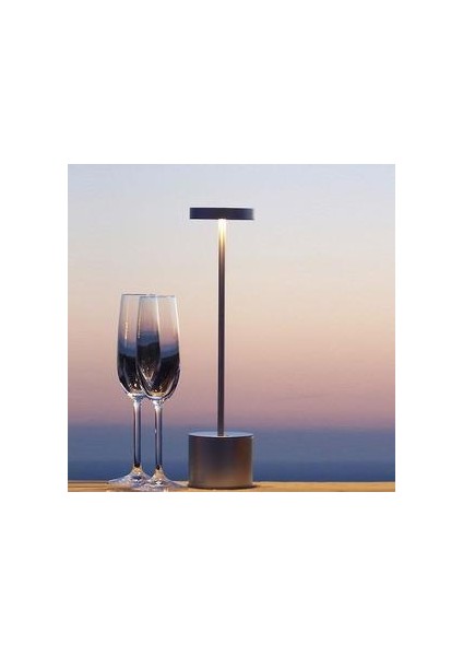 LED Bar Masa Lambaları Modern Restoran Yemeği Standı Işık Fikstür Şarj Edilebilir Taşınabilir Pil Masası Lamba Yemek Odası Ev Dekorasyonu (Gümüş) (Yurt Dışından)