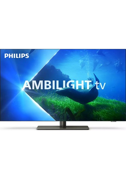 65OLED808 65" 165 Ekran Uydu Alıcılı 4K Ultra HD Smart LED TV