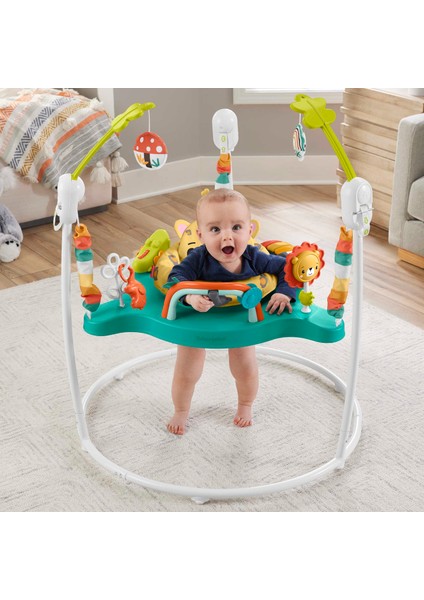 Fisher-Price Fisher Price Işıklı Ve Sesli Sevimli Leopar Jumperoo Bebek Aktivite Merkezi HND47