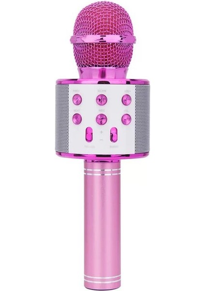 WS-858 Karaoke Mikrofon Pembe