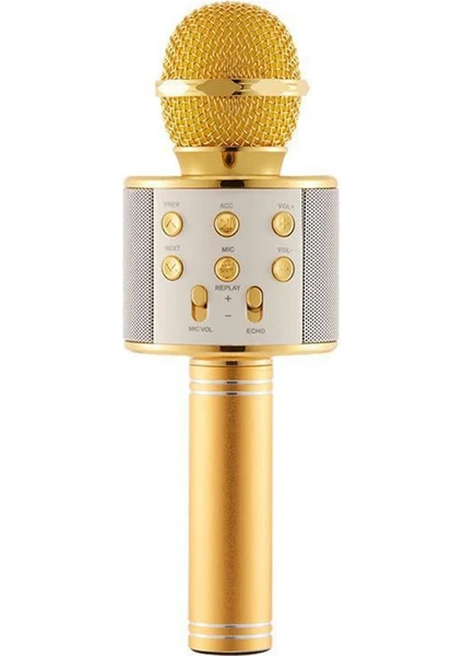 WS-858 Karaoke Mikrofon Gold