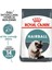 Intense Hairball Tüy Yumağı Engelleyici Kedi Maması 2kg 2