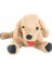 Oturakçı Oyuncak Peluş Golden Köpek 80 cm 1