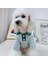 Evcil Hayvan Kıyafeti - Yeşil (Yurt Dışından) 2