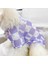 Evcil Hayvan Kıyafeti - Mor (Yurt Dışından) 2