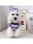 Evcil Hayvan Kıyafeti - Beyaz / Mavi (Yurt Dışından) 2