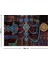Tibet Etnik Desen Budist Thangka ve Mandala Bohem Duvar Örtüsü Halısı 4